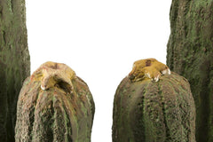Pair of Garden & Interior Cactus Sculptures
