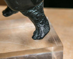 Bronze Rhino Sculpture by R. d’Andlau-Hombourg