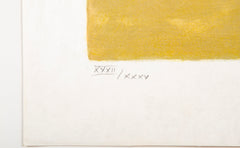 "Landscape of the South" Lithograph by Bernard Cathelin