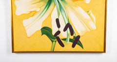 "Lily" Oil on Canvas by Lowell Blair Nesbitt