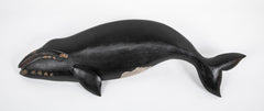 Right Whale by Roger Mitchel