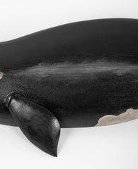 Right Whale by Roger Mitchel