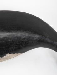 Right Whale by Roger Mitchel