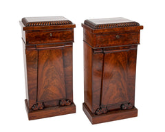 Pair of William IV Mahogany Pedestal Cabinets