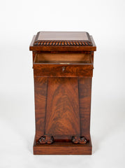 Pair of William IV Mahogany Pedestal Cabinets