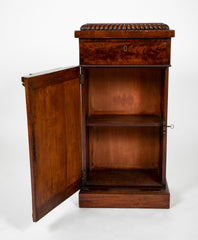 Pair of William IV Mahogany Pedestal Cabinets