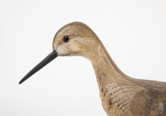 Standing Yellowlegs Painted Wood Stickup Decoy