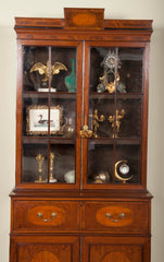 Rare Near Pair of Regency Bookcases