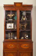 Rare Near Pair of Regency Bookcases