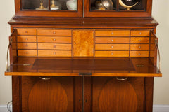 Rare Near Pair of Regency Bookcases