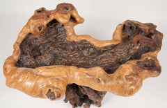 Impressive Ancient Chinese Scholar Root as Table
