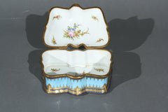 19th Century Sevres Box