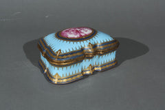 19th Century Sevres Box