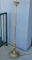 Bronze Floor Lamp