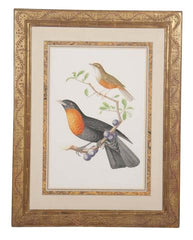 Chromolithograph of Two Birds after Jean Theodore Descourtilz