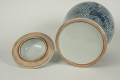 A Chinese Blue and White Porcelain Jar