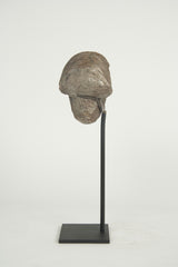 A Nautilus Plicatus Fossil on Stand