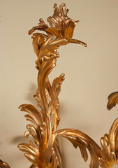 Bronze Louis XV Style Sconces