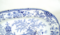 Blue Transfer Platter